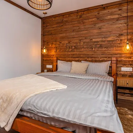 арт къща лъка *